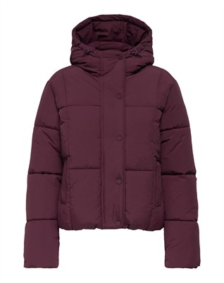 JDYWonder Short Hood Puffer Jakke 